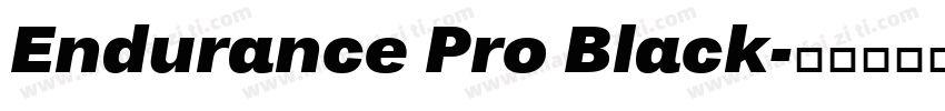 Endurance Pro Black字体转换